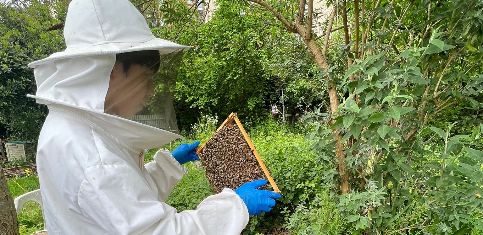 Holding some honeycomb with honeybees