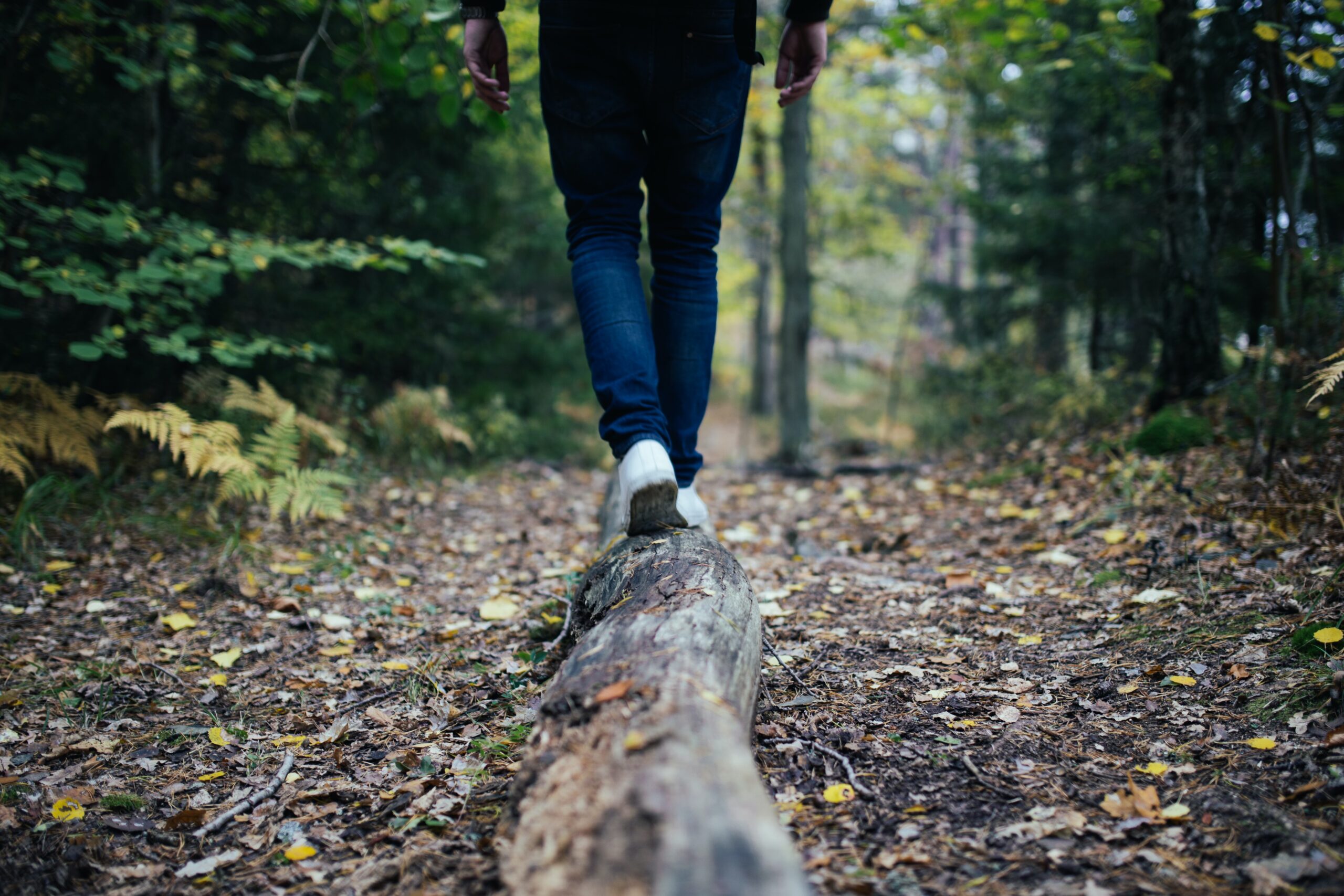 Walking on a log in the woods