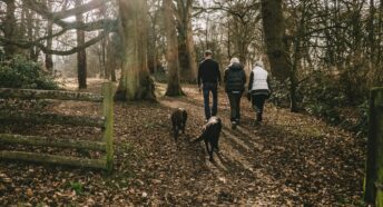A family and dog walking through woodland