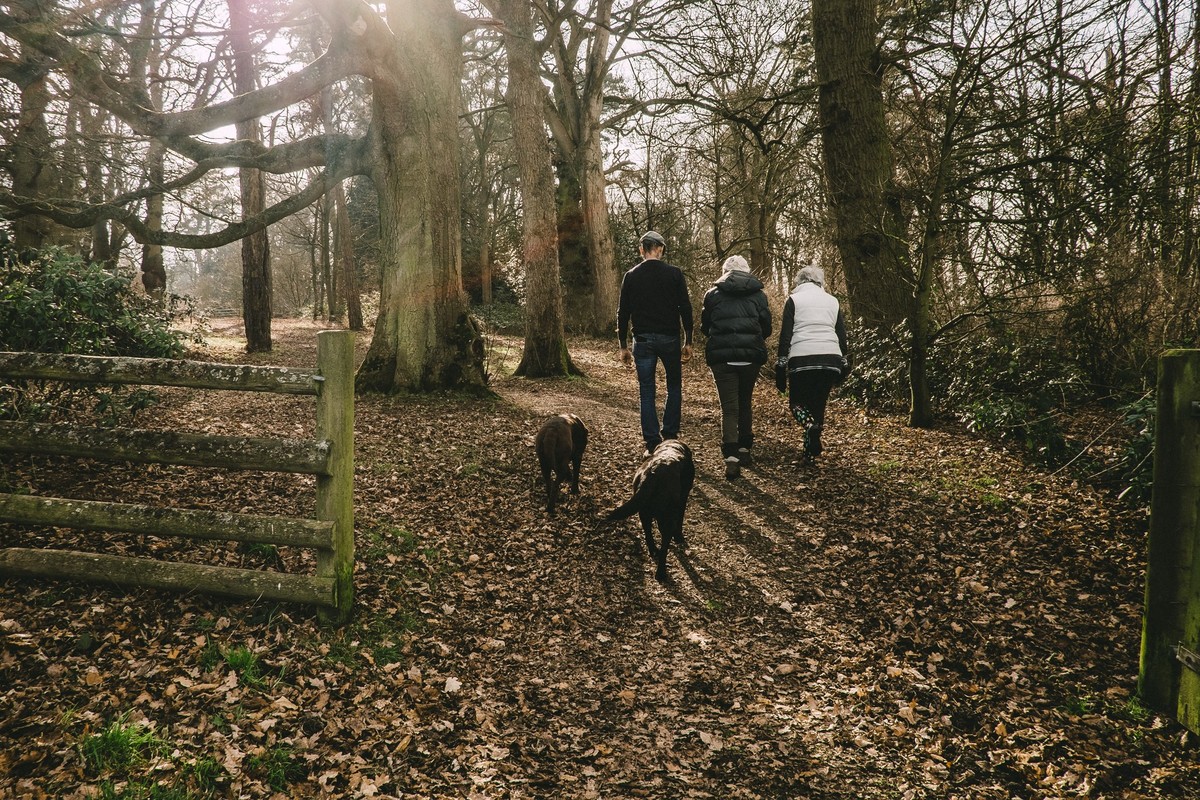 A family and dog walking through woodland