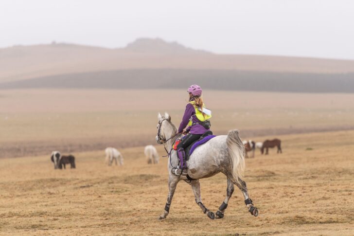 Endurance long distance horse rider on Bodmin Moor