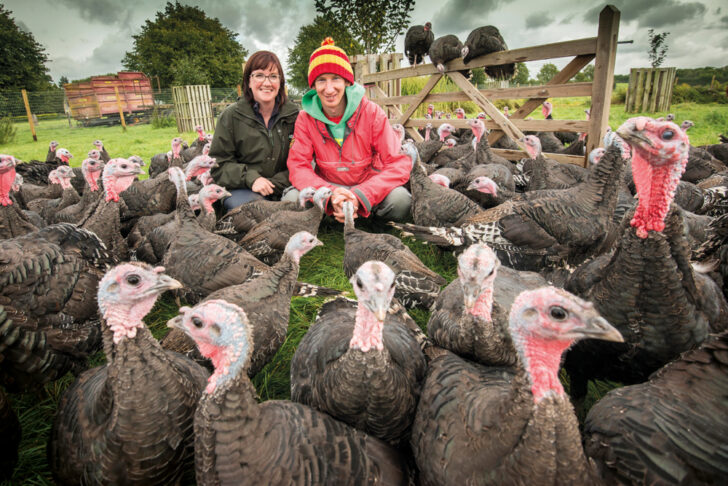 Two farmers stood among several free-range turkeys