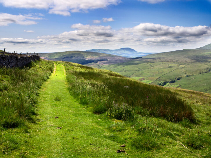 The Pennine Bridleway below Great Knoutberry Hill with Ingleborough in the Distance Dentdale Yorkshire Dales Cumbria England