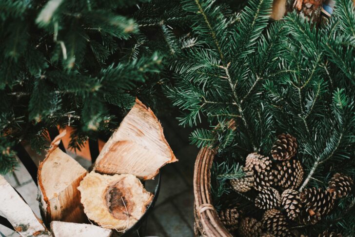 Yew, logs and pine cones