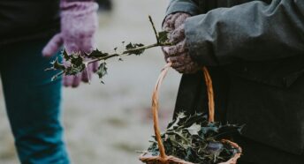 Someone passing holly to someone else from a basket