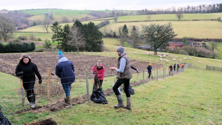 Planting hedgerows on an organic horticultural farm