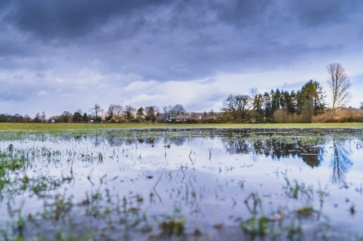 Flooded field on a cloudy day