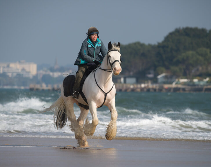 Horse riding at Studland Bay