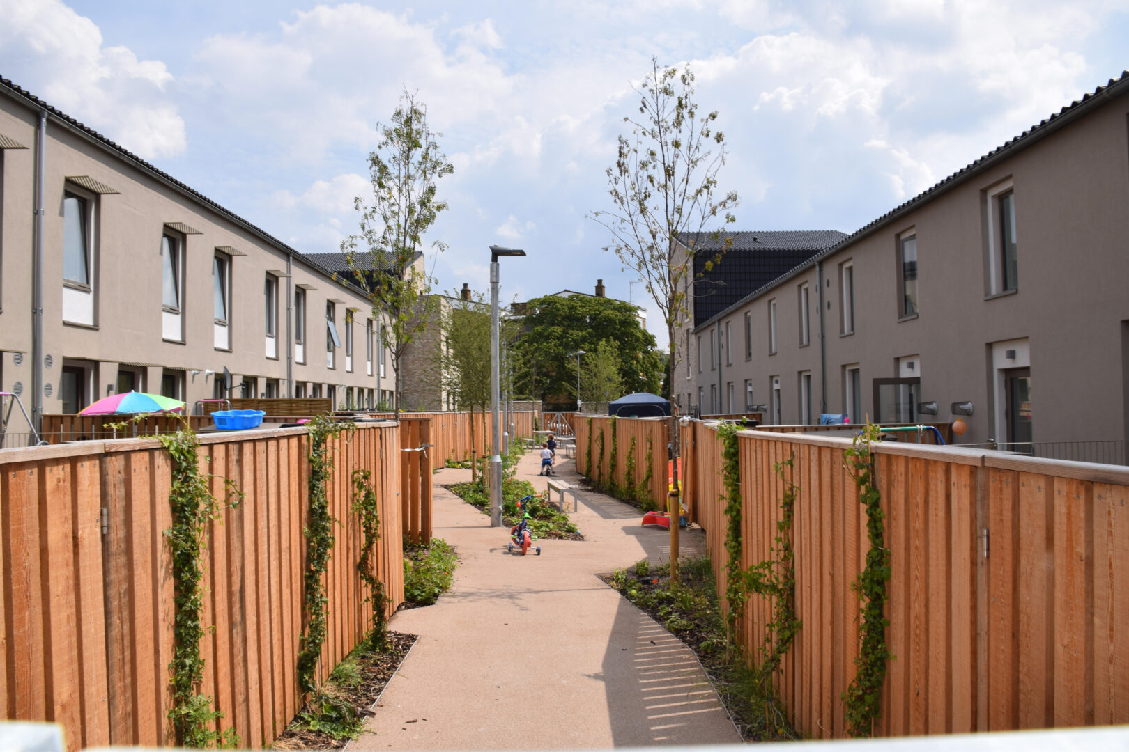 Passivhaus-standard social housing in Norwick