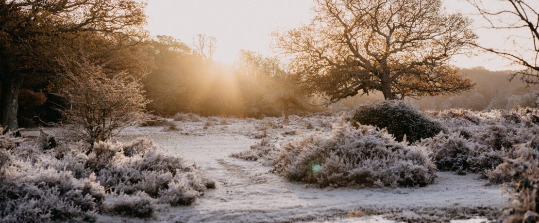 Frosty scene in the countryside