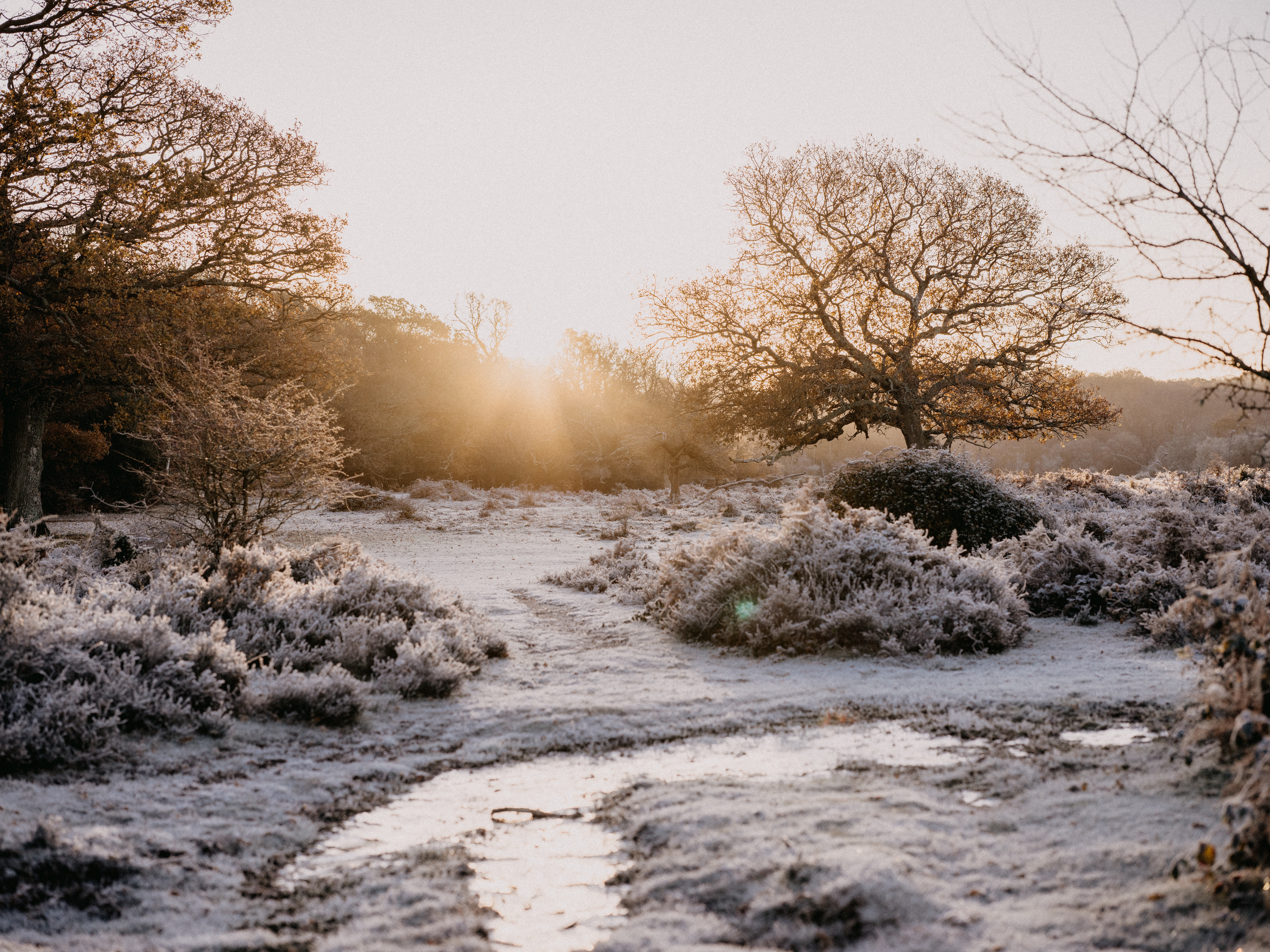 Frosty scene in the countryside
