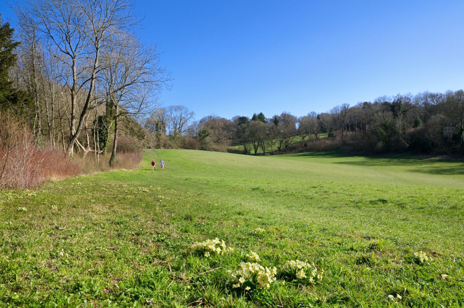 Green Belt land south of Croydon