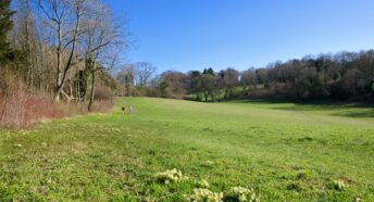 Green Belt land south of Croydon