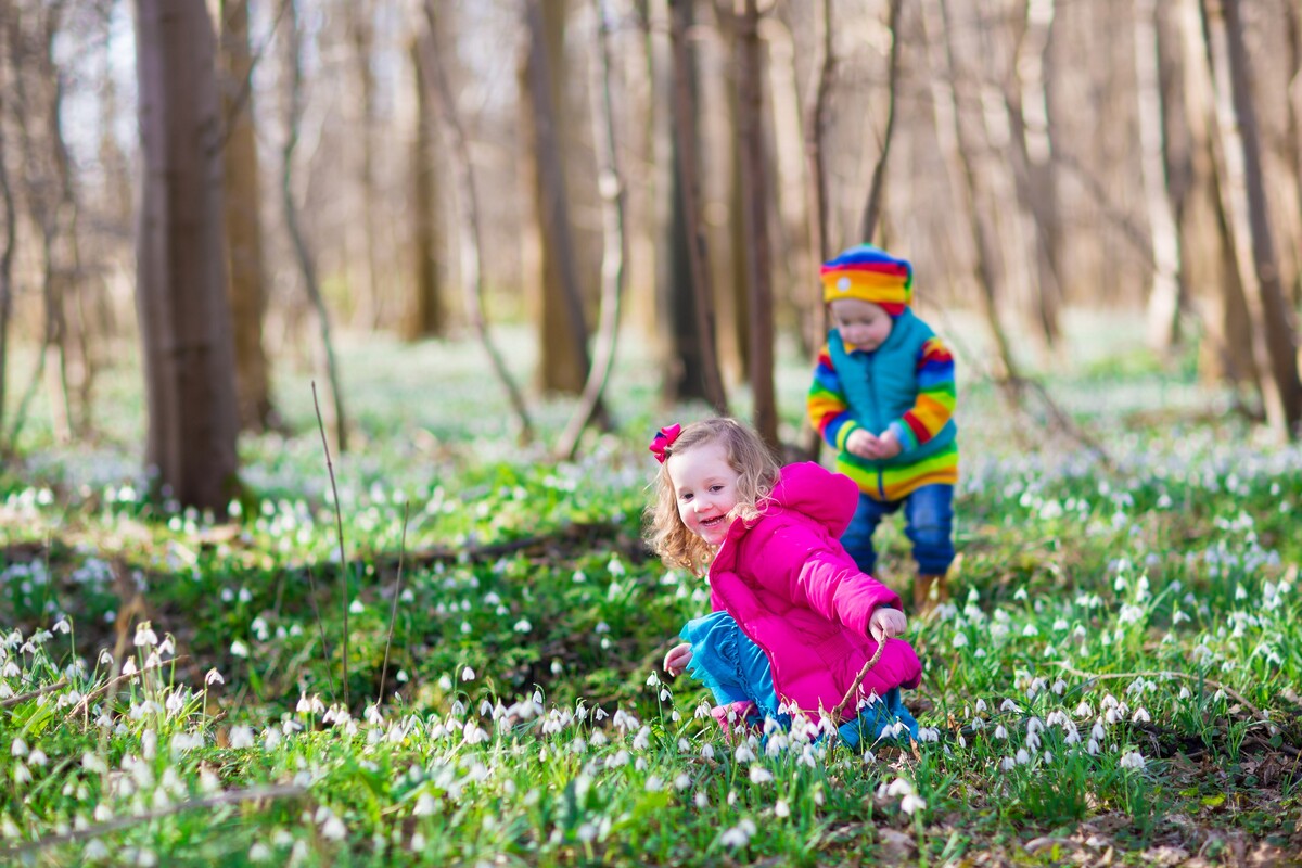 Kids playing in a winter forest with snowdrops