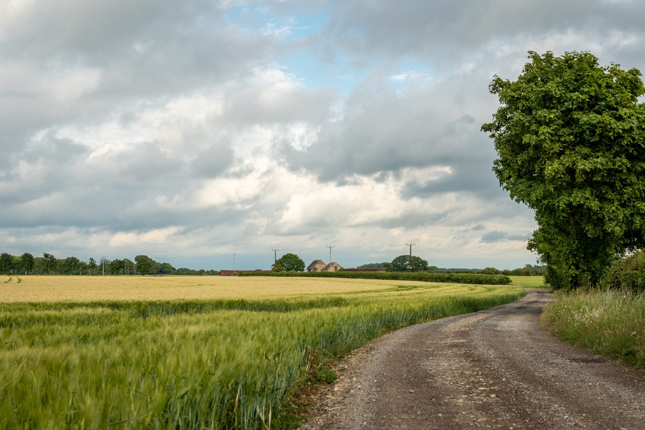 Oxfordshire countryside farmland