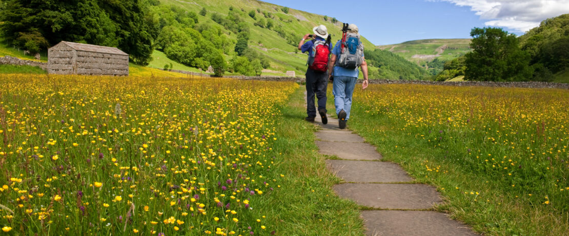Walking through the flower filled summer hay meadows at Muker, Swaledale in the Yorkshire Dales
