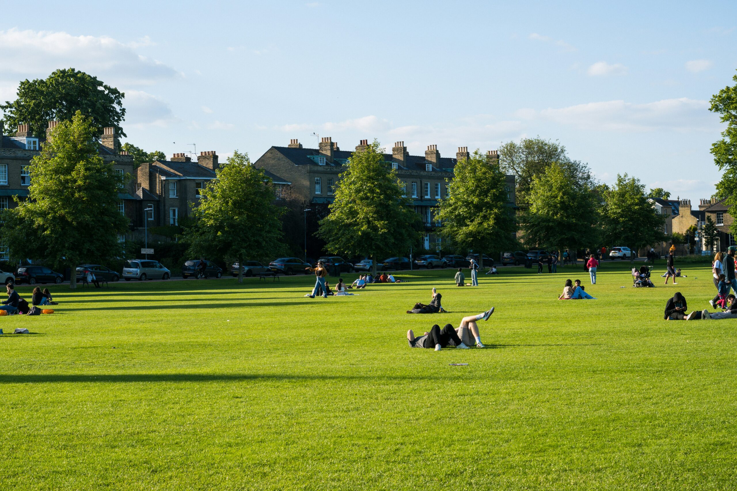 A lush parkland on a sunny day with people enjoying the space