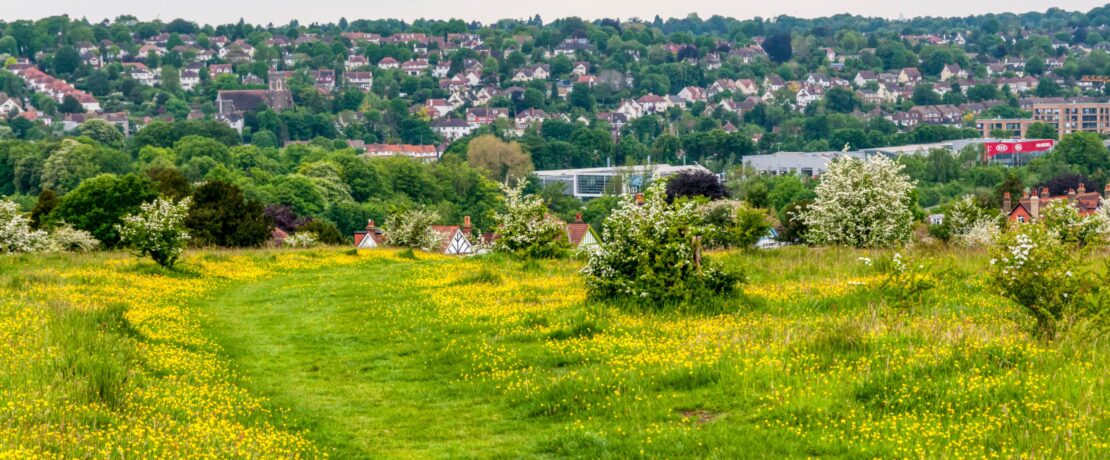 Farthing Downs, an area of Green Belt south of London.