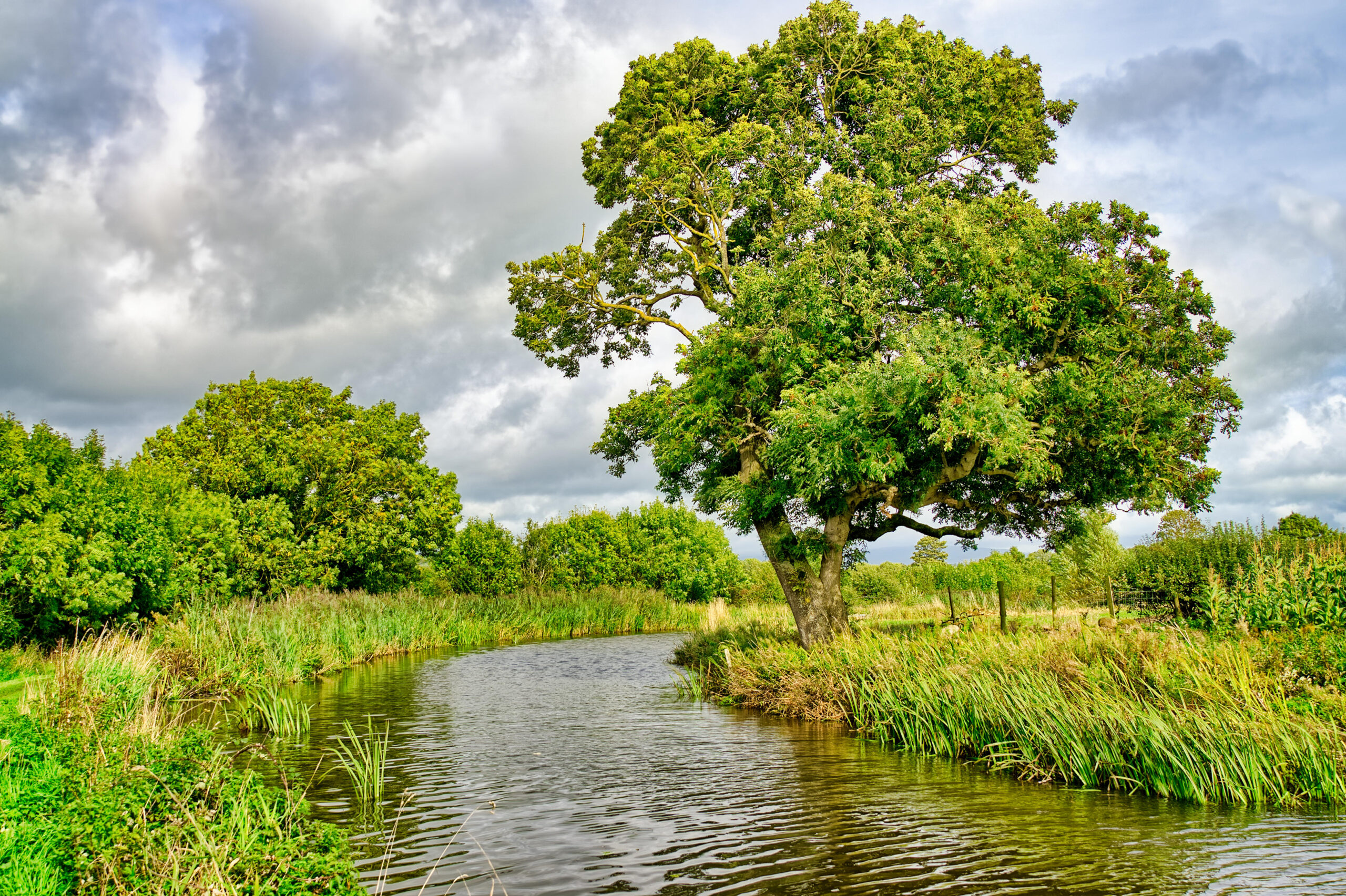 A stream flowing through typical English countryside