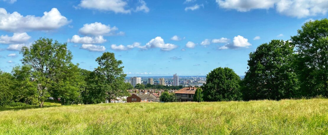 London Green Belt with a view of London framed between trees in the distance