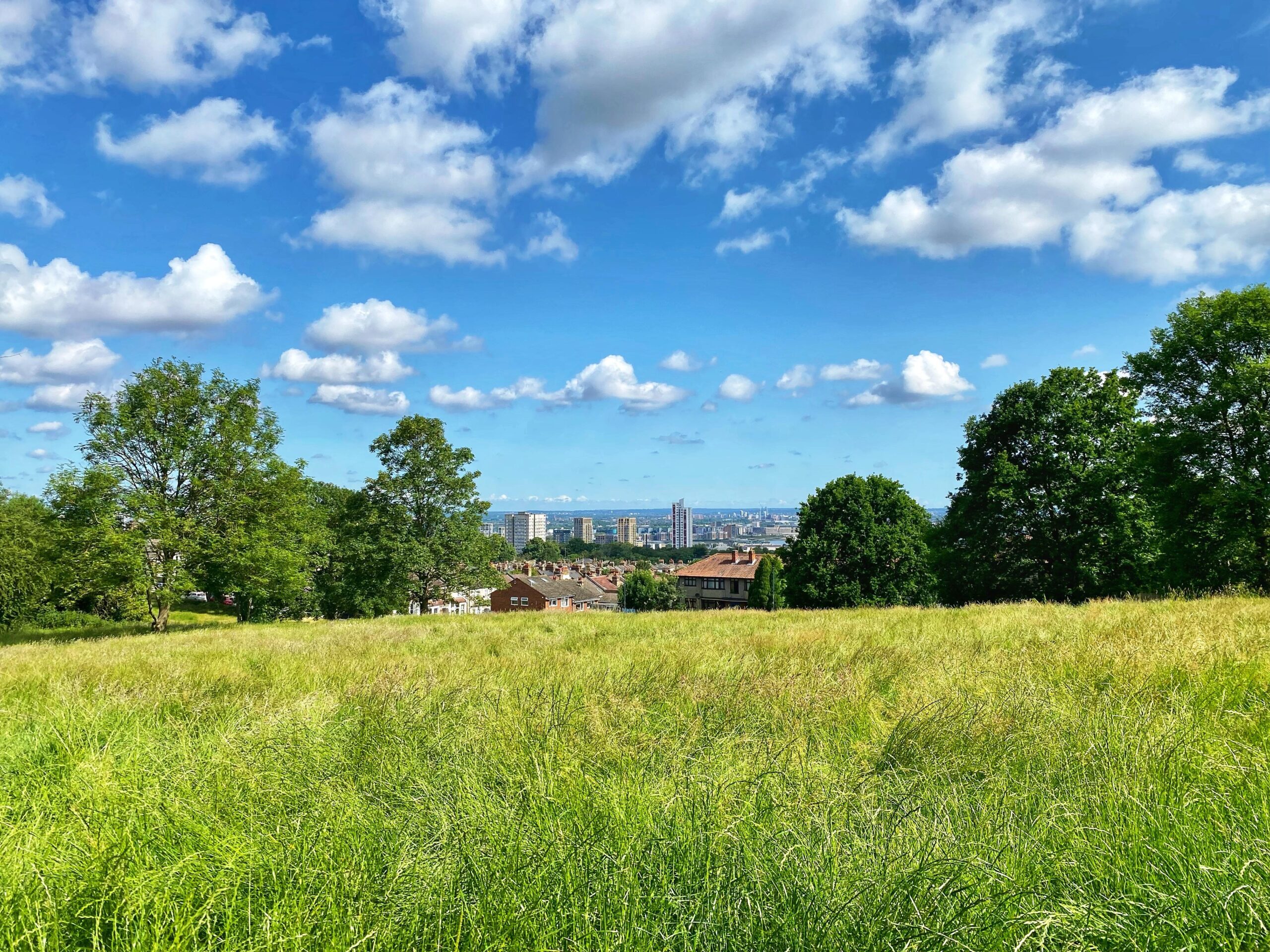 London Green Belt with a view of London framed between trees in the distance
