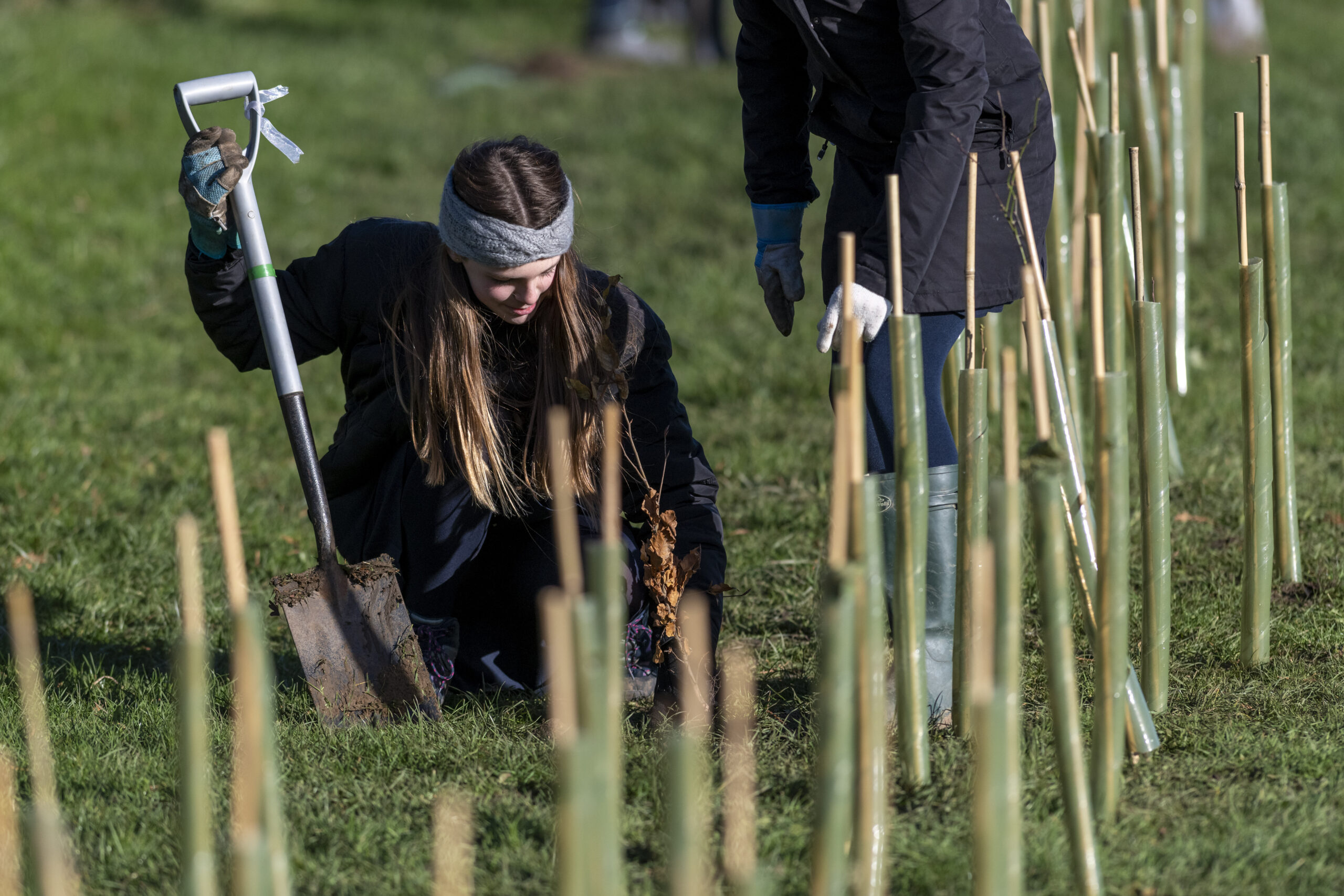 Young girl Hedgerow Planting