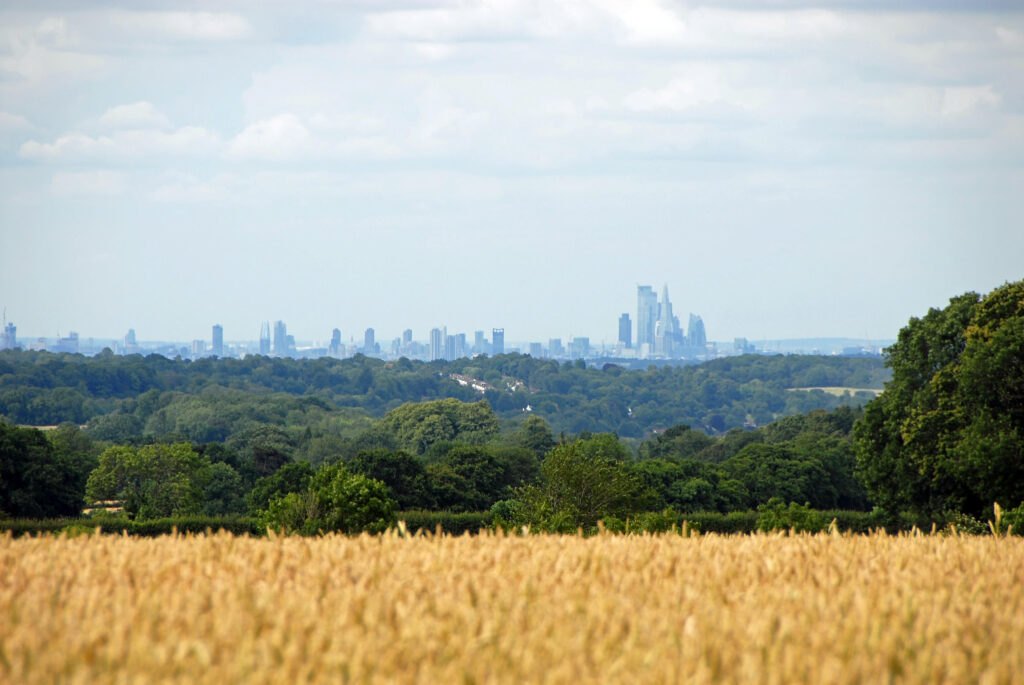 London from the North Downs at Reigate, Surrey. London skyline with fields. London is surrounded by a green belt of woods and fields. View of London.