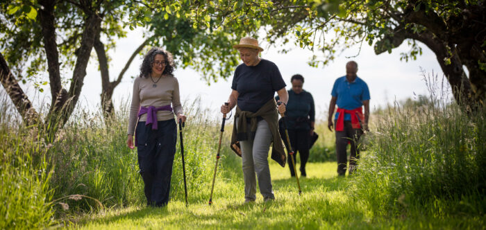 A group walking through an orchard, with hiking sticks
