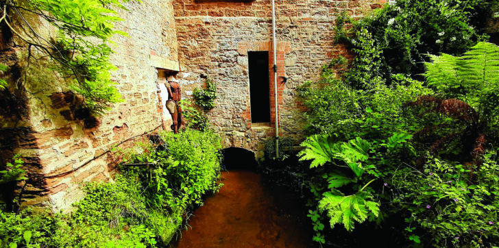 Photo of a mill