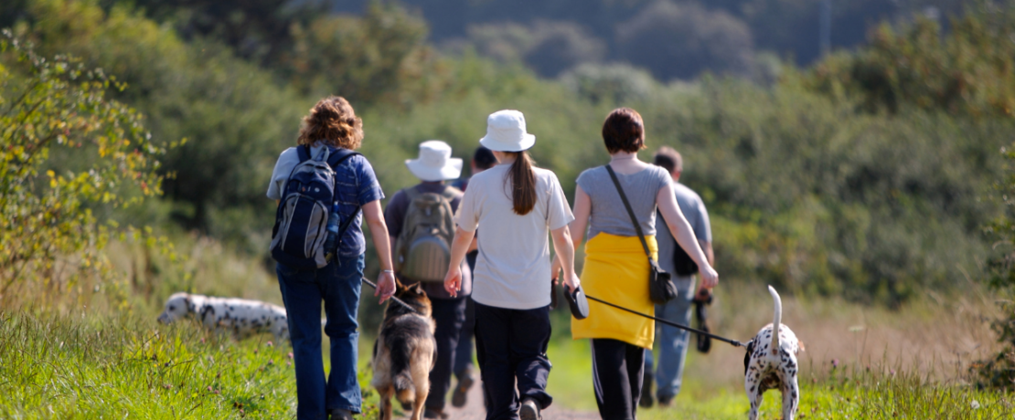 People walking in the countryside