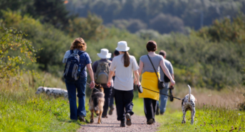 People walking in the countryside
