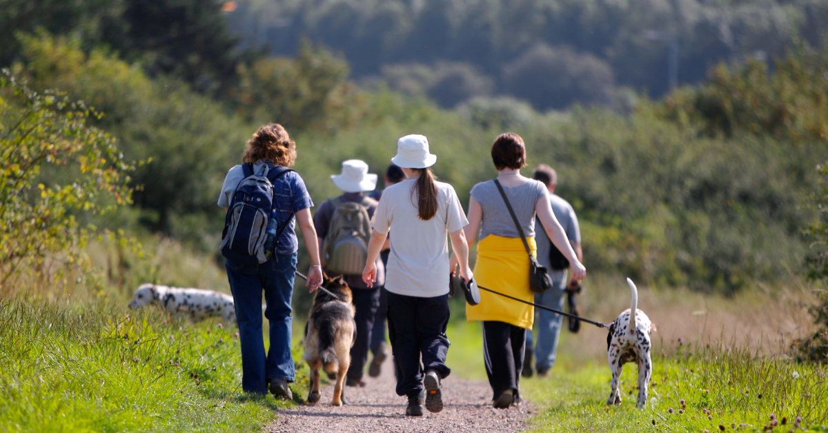 People walking in the countryside