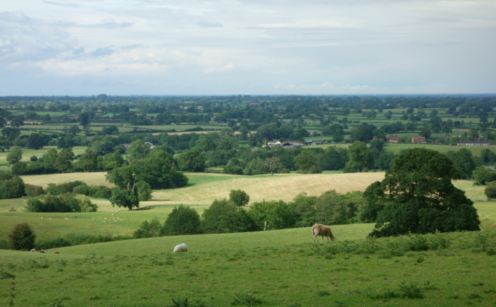 View of the countryside