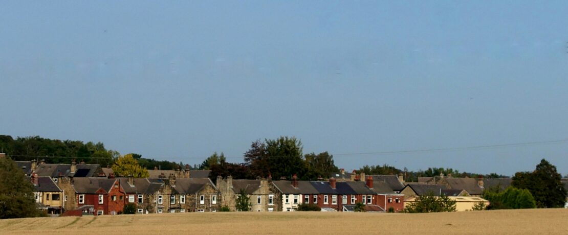 green grass field with houses during daytime