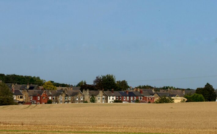 green grass field with houses during daytime
