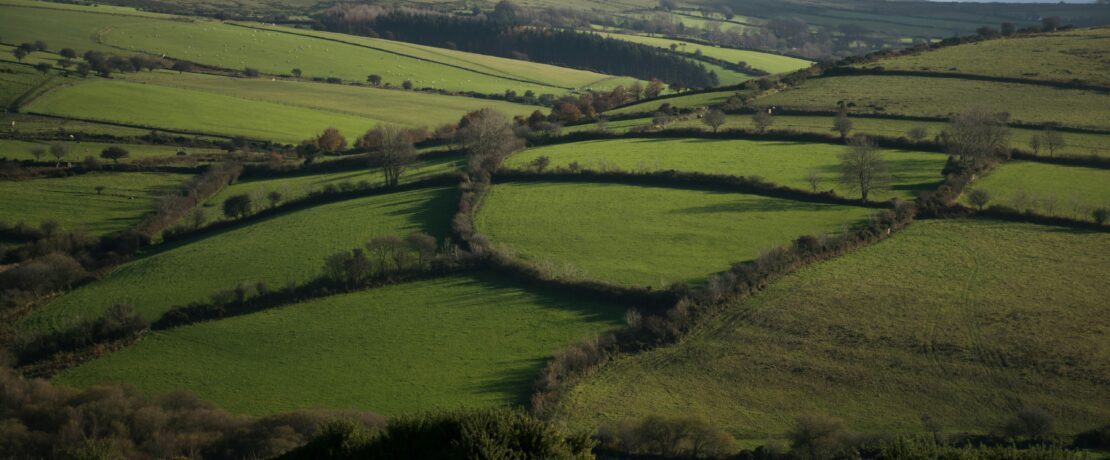 Countryside patchwork farmland with hedges