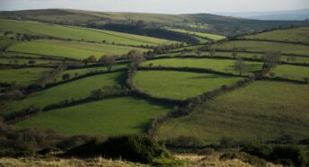 Countryside patchwork farmland with hedges