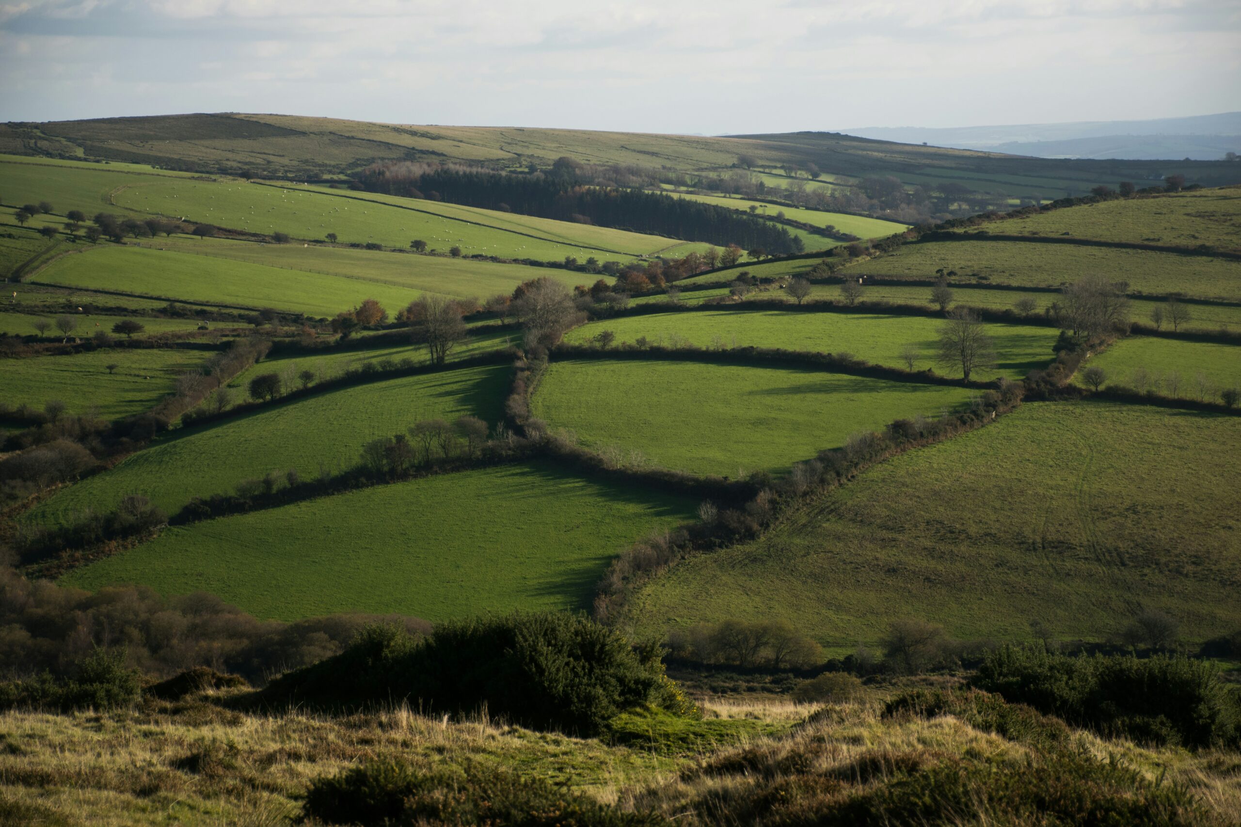 Countryside patchwork farmland with hedges