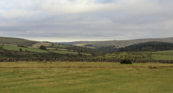 A grassy field with a stone wall in the distance.