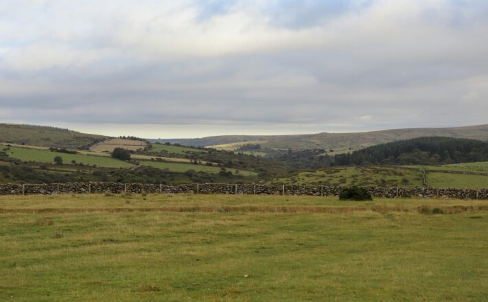 A grassy field with a stone wall in the distance.