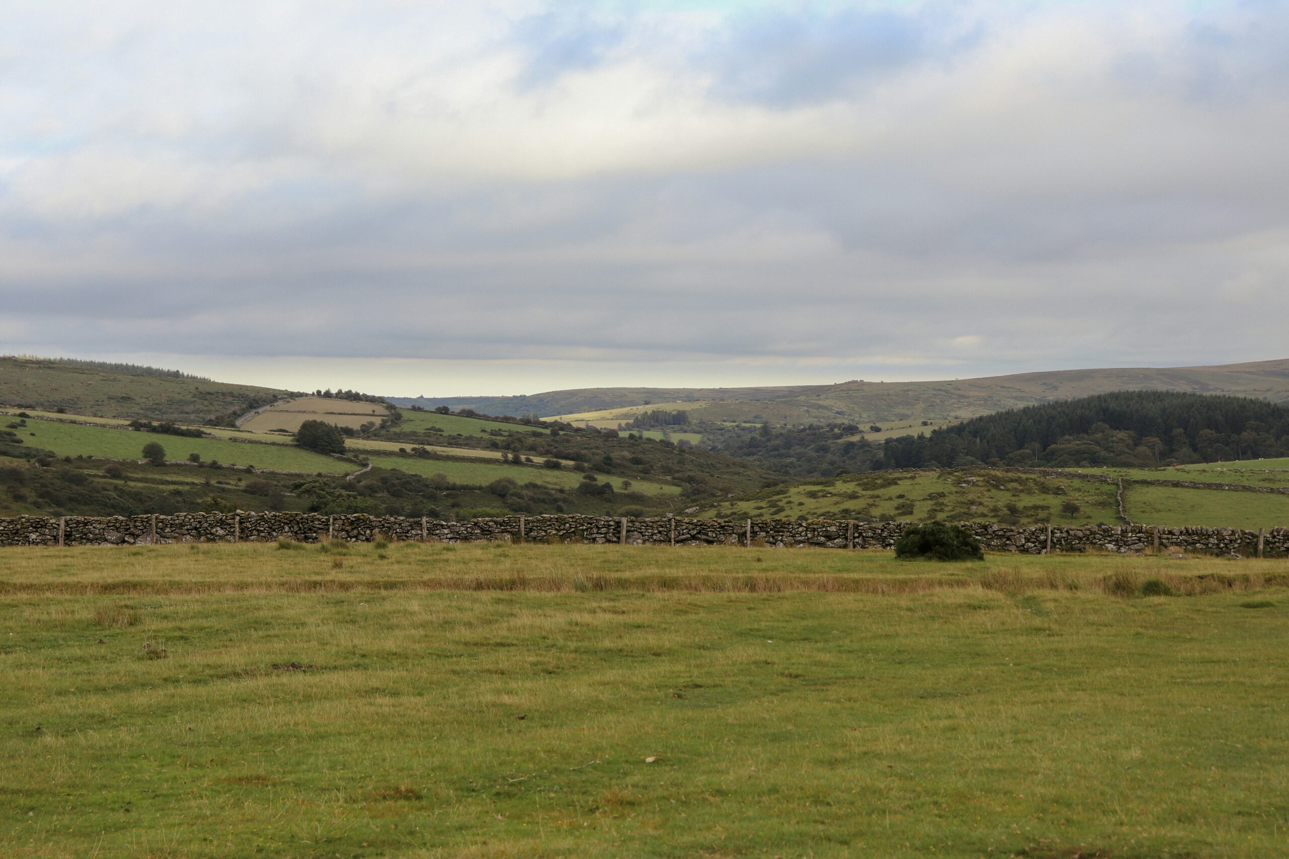 A grassy field with a stone wall in the distance.