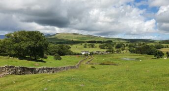 a grassy field with trees and a body of water in the distance