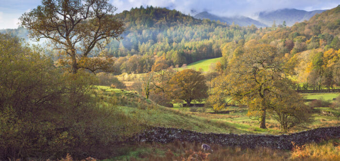Lake district vista