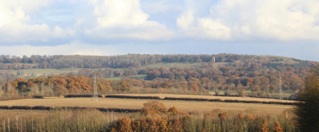 large field with trees in the background