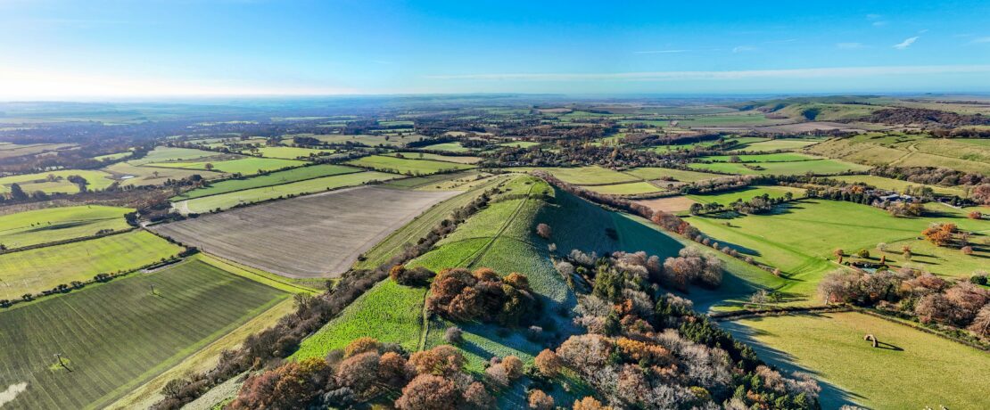 rolling green hills and fields under a clear blue sky