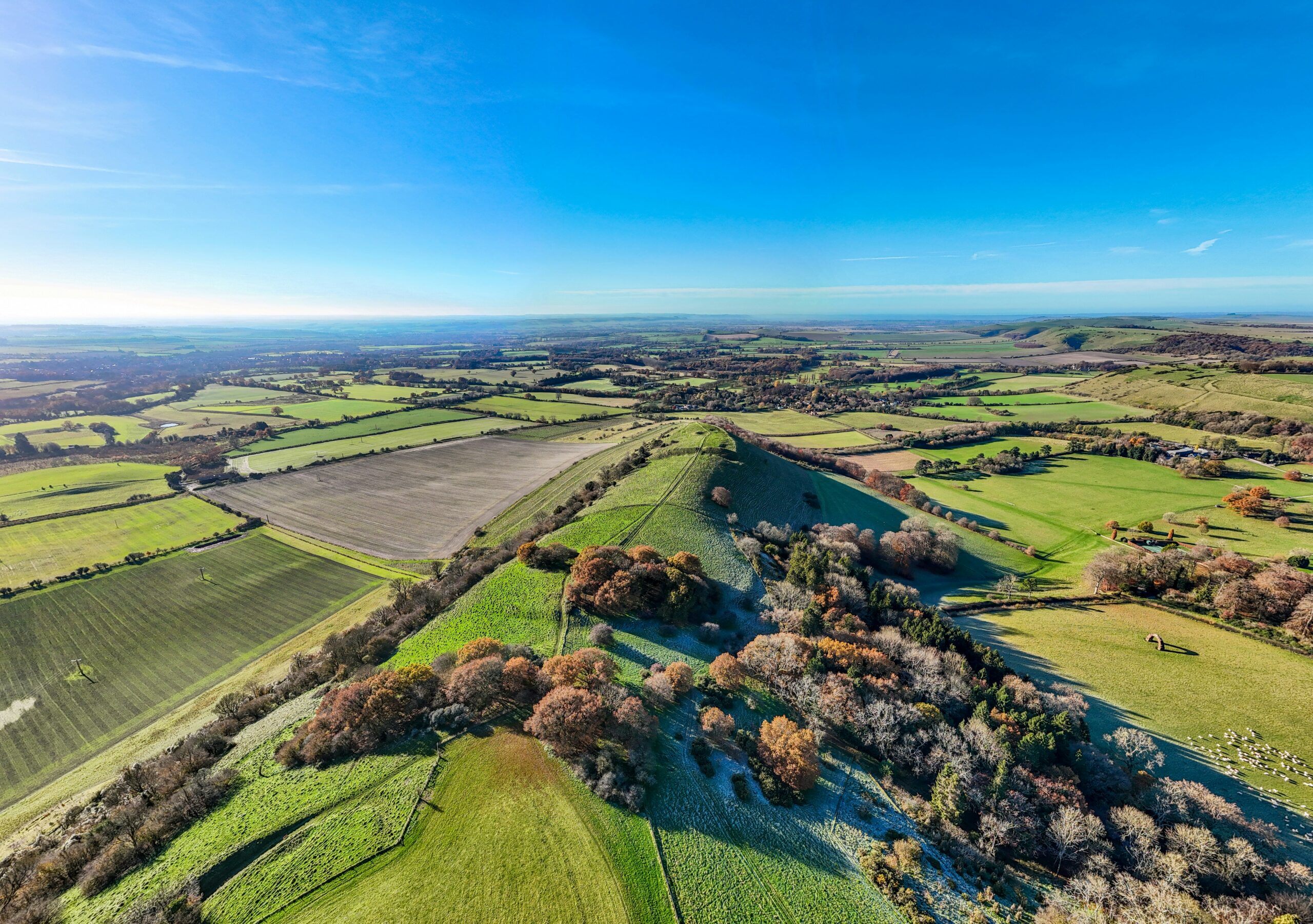 rolling green hills and fields under a clear blue sky