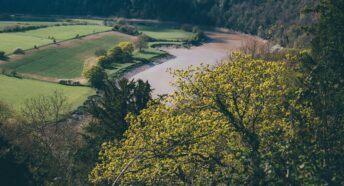 green trees near river during daytime