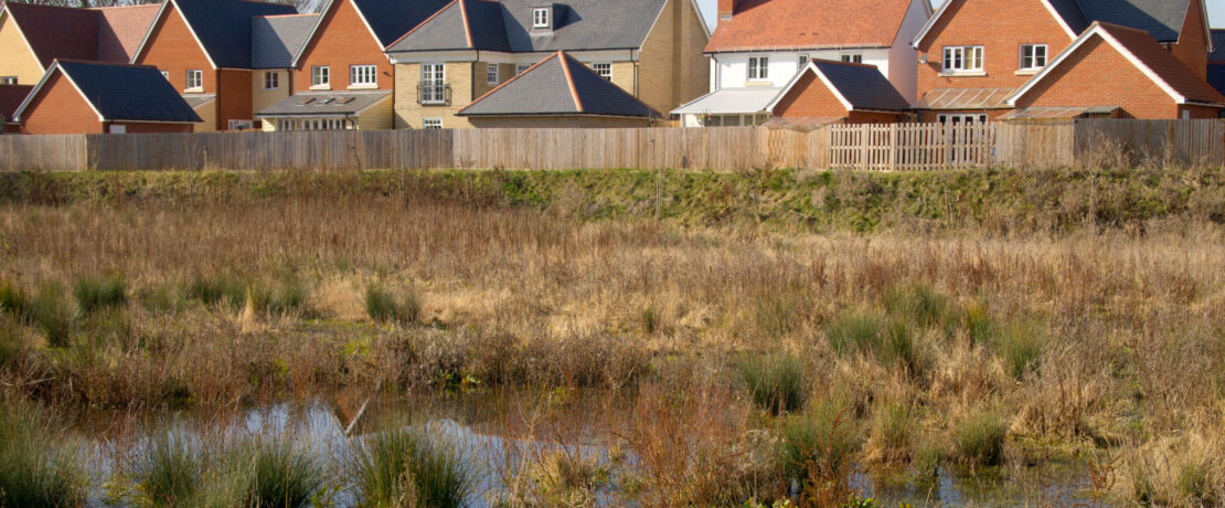 WAterlogged ground on a floodplain near new houses on a housing development in Suffolk, England