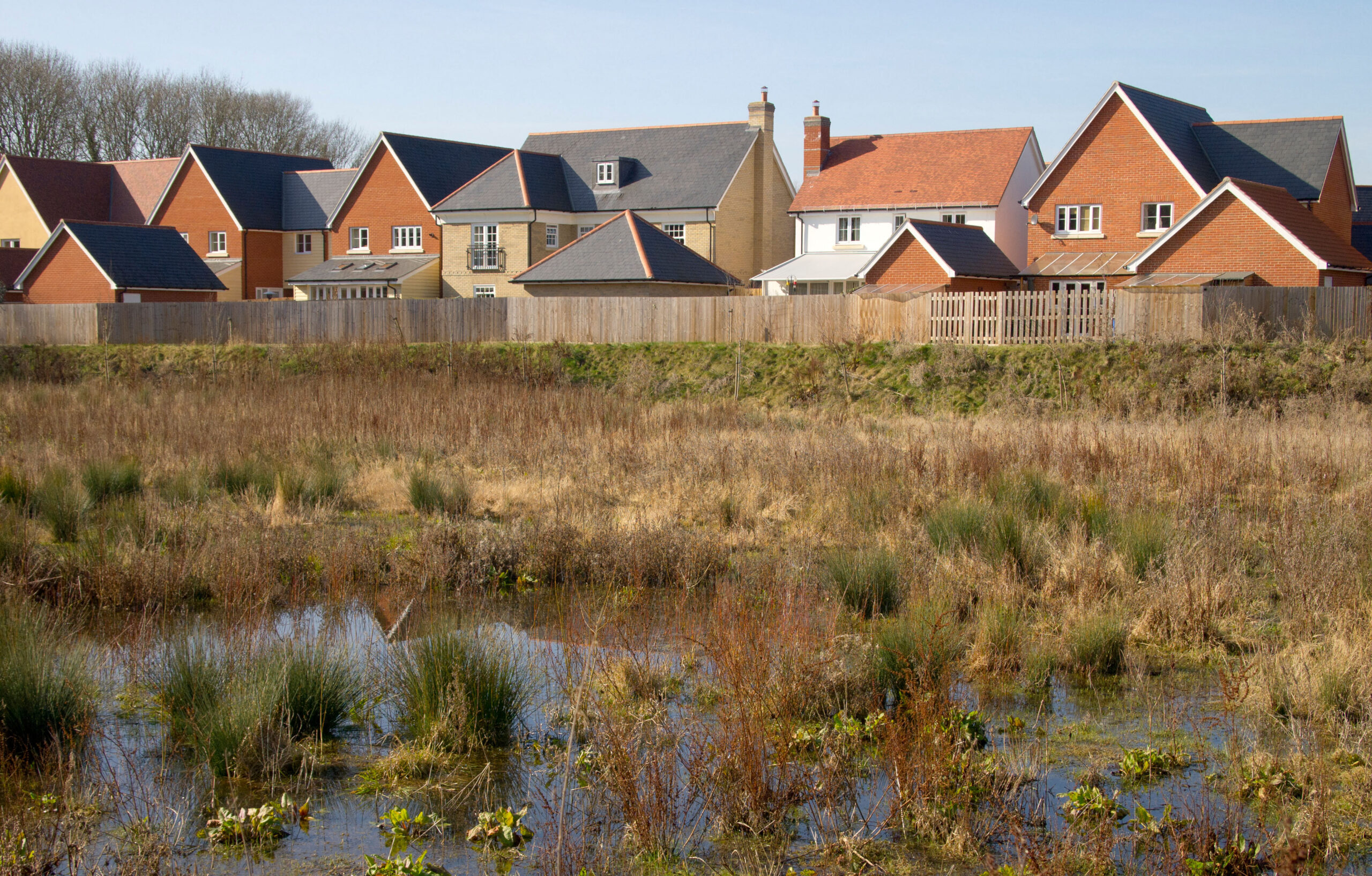 WAterlogged ground on a floodplain near new houses on a housing development in Suffolk, England
