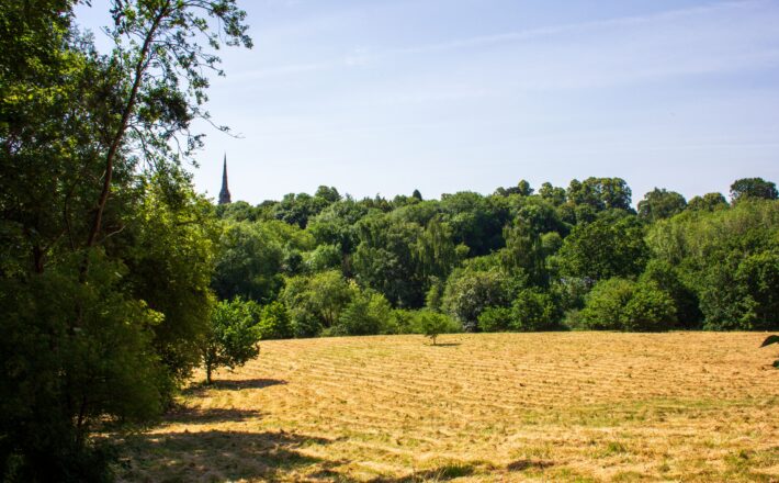 Trees and grassy landscape Shrewsbury